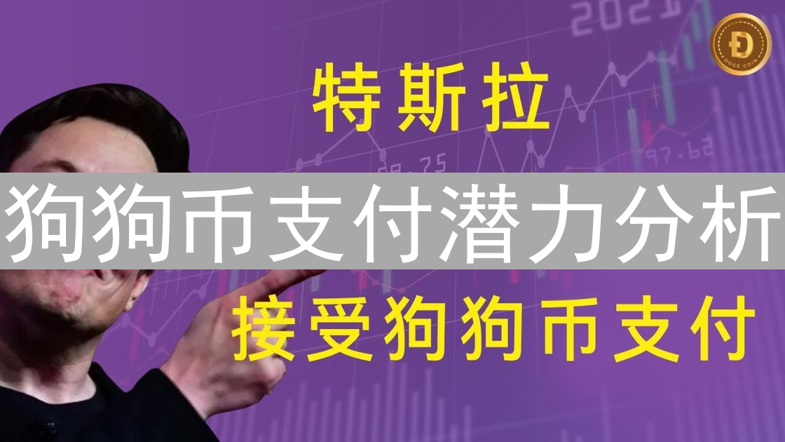 狗狗币支付潜力分析：优势、劣势与未来展望