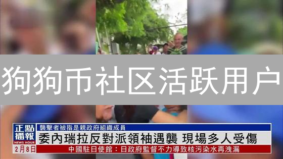 狗狗币社区活跃用户：星光熠熠的支持者们