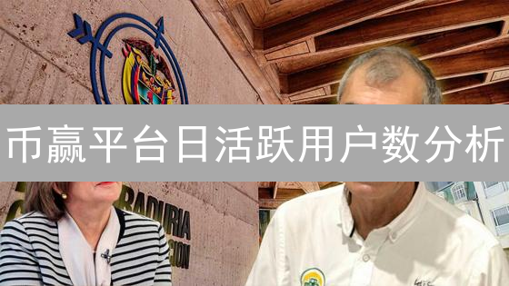 币赢平台日活跃用户数分析：市场影响与数据评估