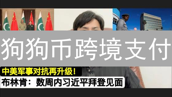 狗狗币跨境支付：指南、优势、方法与未来展望