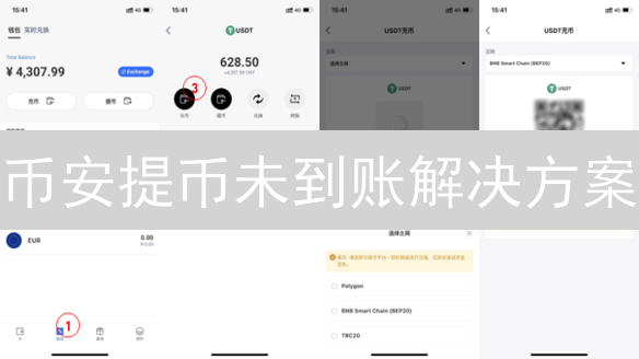 币安提币未到账解决方案：数字资产找回终极指南