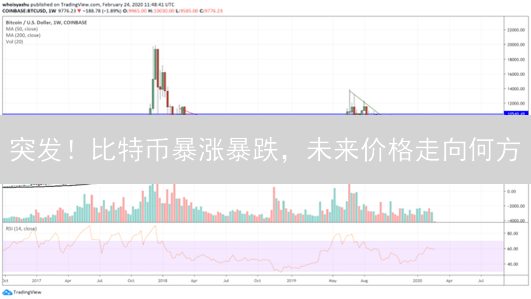 突发！比特币暴涨暴跌，未来价格走向何方？专家深度解读！
