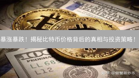 暴涨暴跌！揭秘比特币价格背后的真相与投资策略！