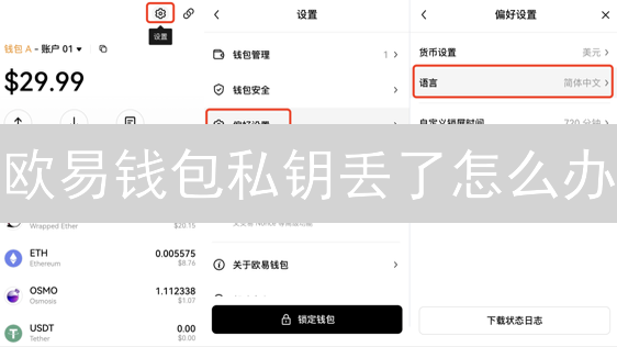 欧易钱包私钥丢了怎么办？掌握这些技巧，资产安全无忧！