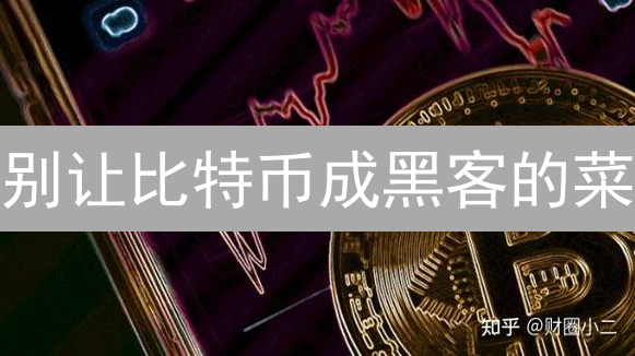 别让比特币成黑客的菜：史上最全钱包安全指南！