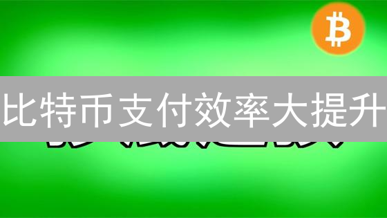 比特币支付效率大提升：五大优化策略详解！