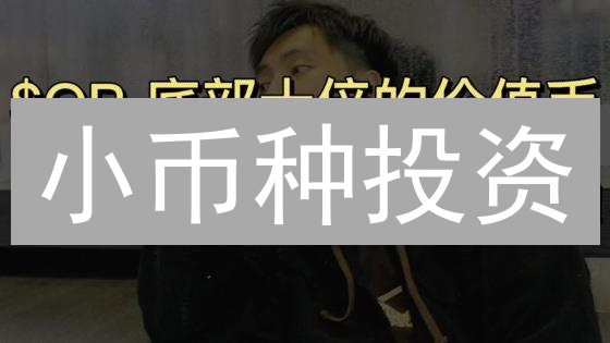 小币种投资：如何掘金百倍潜力？避坑指南！