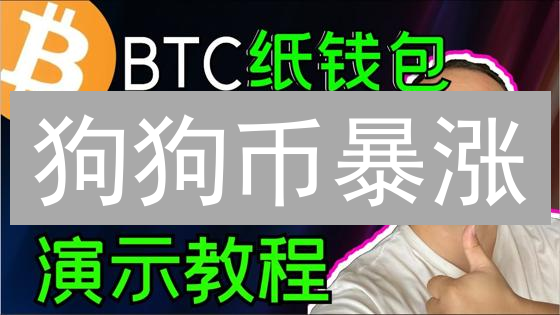 狗狗币暴涨？2024年投资DOGE终极指南，新手也能轻松上手！