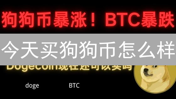 今天买狗狗币怎么样？2024年狗狗币投资，新手必看指南！