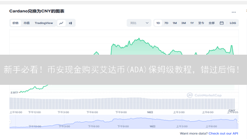 新手必看！币安现金购买艾达币(ADA)保姆级教程，错过后悔！