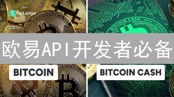 欧易API开发者必备：效率提升与安全交易的秘密武器！