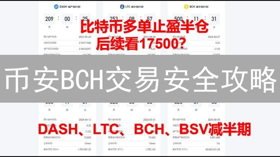 币安BCH交易安全攻略：风险控制与投资保障揭秘！