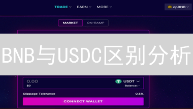 BNB与USDC区别分析：哪个更值得投资？