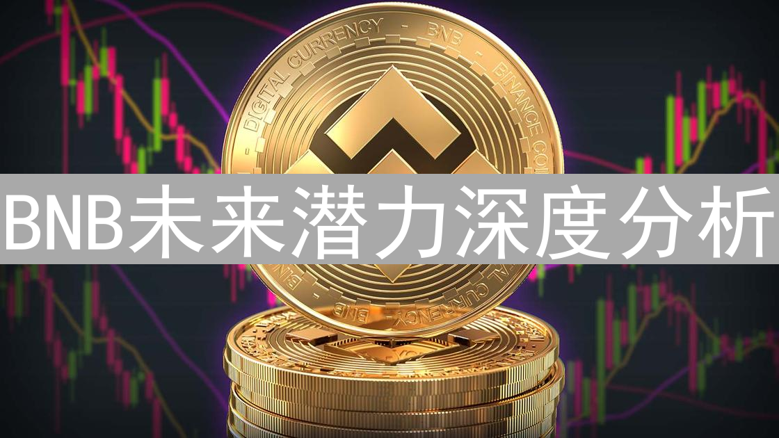BNB未来潜力深度分析：币安币前景展望与价值评估