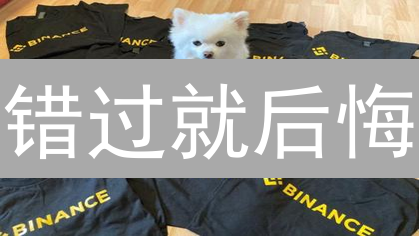 错过就后悔？一文读懂BNB币的前世今生与未来价值！