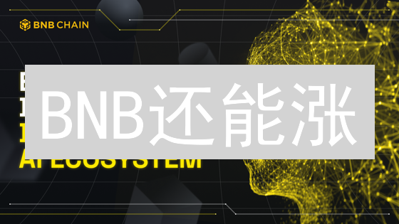 BNB还能涨？币安币未来市值预测：牛市掘金指南！