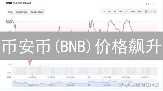 币安币(BNB)价格飙升？揭秘影响因素与未来趋势【深度分析】