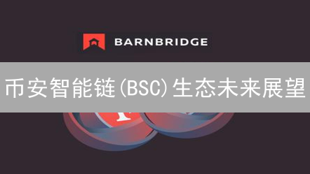 币安智能链(BSC)生态未来展望：DeFi乐园与GameFi的蓬勃发展