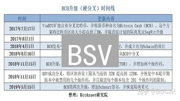 BSV：谁才是真正的比特币？技术、争议与未来掘金机会！