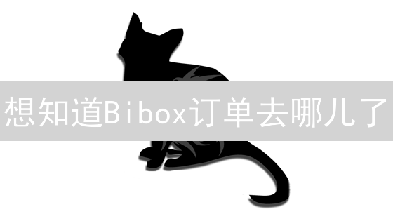 想知道Bibox订单去哪儿了？三种查询大法，告别交易迷茫！