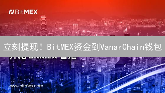 立刻提现！BitMEX资金到VanarChain钱包：最新教程与安全指南