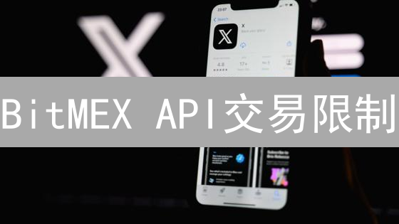 BitMEX API交易限制：新手必读的优化策略！