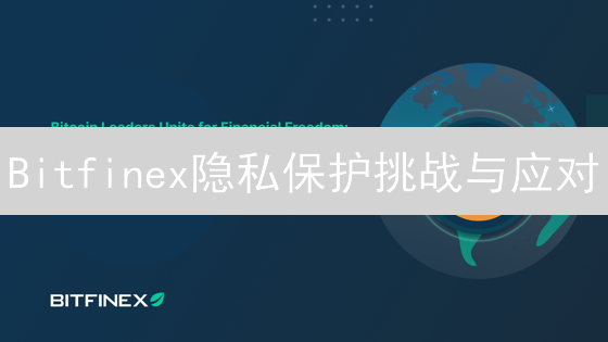 Bitfinex隐私保护挑战与应对：2025年用户数据安全策略详解