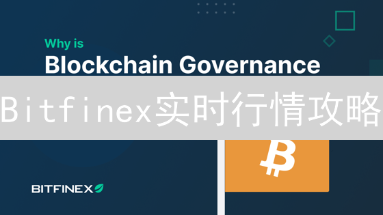Bitfinex实时行情攻略：掌握数据，胜券在握！