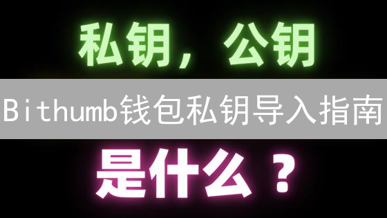 Bithumb钱包私钥导入指南：理论与实践
