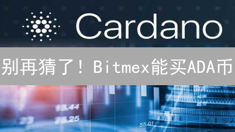 别再猜了！Bitmex能买ADA币？高收益替代方案全攻略！