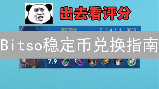 Bitso稳定币兑换指南：高效入门与避坑秘籍！