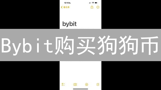 Bybit购买狗狗币？新手必备指南，教你玩转DOGE！