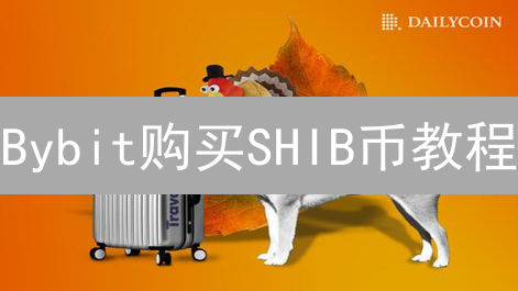 Bybit购买SHIB币教程：新手入门指南与安全交易策略