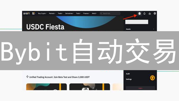 Bybit自动交易：新手也能上手？超详细教程来了！
