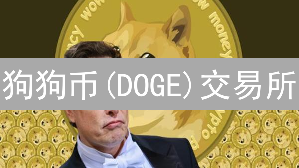 狗狗币(DOGE)交易所：Kraken vs BigONE，新手老手都看过来！