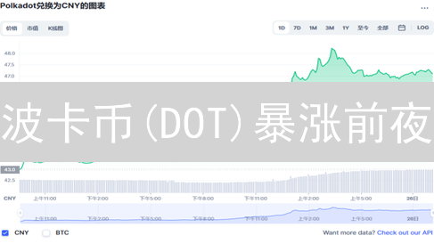 波卡币(DOT)暴涨前夜？Bigone交易所的早期贡献与未来展望