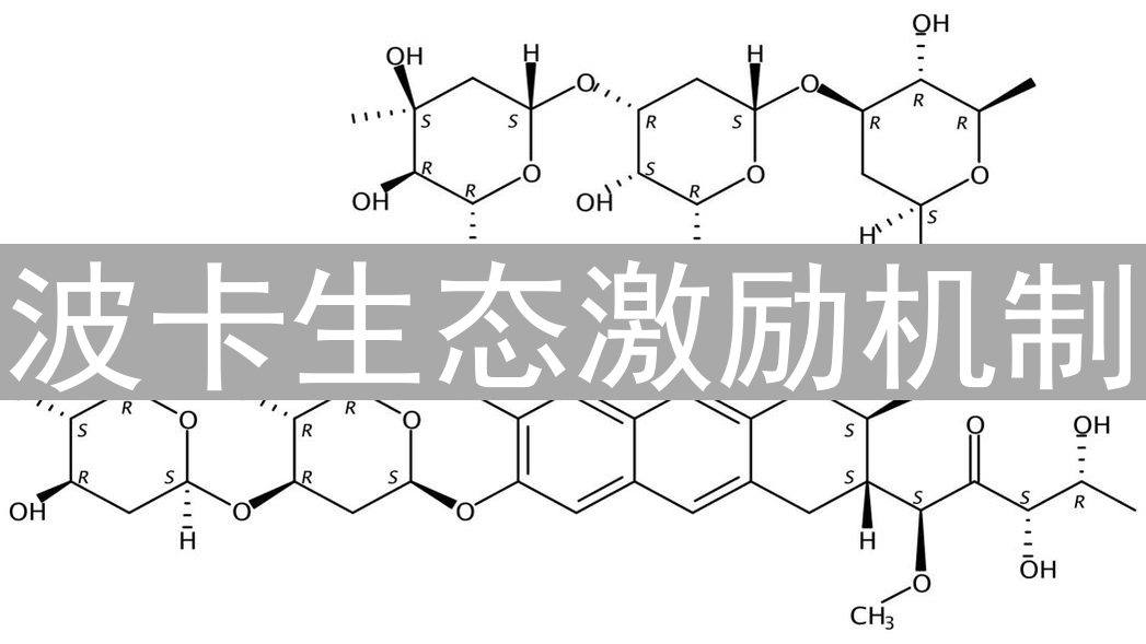 波卡生态激励机制：矿工进阶与DOT奖励策略分析