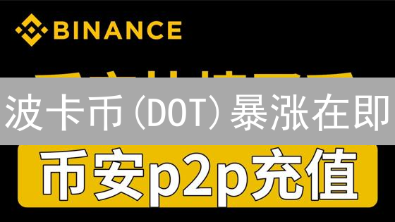 波卡币(DOT)暴涨在即？币安购买指南！新手必看！
