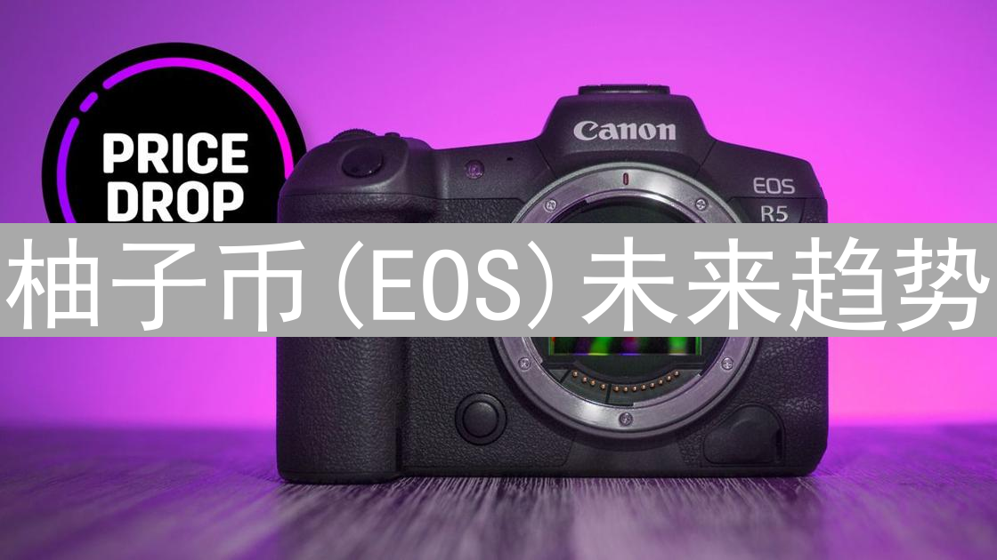 柚子币(EOS)未来趋势：技术、治理与公链竞争的关键博弈