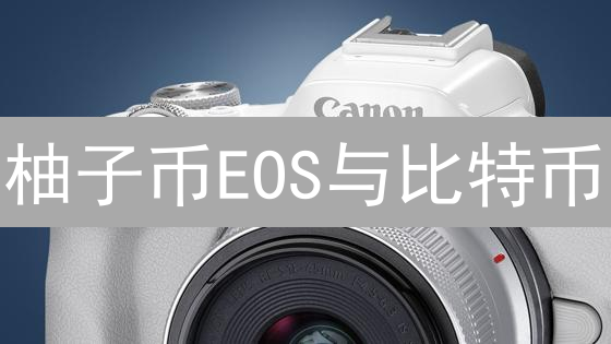 柚子币EOS与比特币：区块链应用前景之对比分析