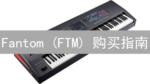 Fantom (FTM) 购买指南：交易所选择与替代方案
