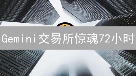 Gemini交易所惊魂72小时：危机、监管与未来？