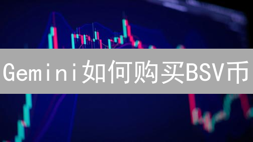Gemini如何购买BSV币？巧妙攻略助你轻松入门！