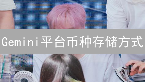 Gemini平台币种存储方式：安全与便捷并存