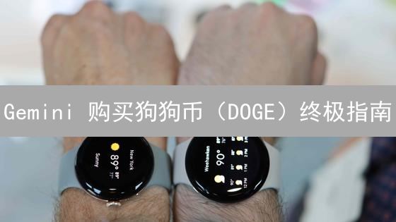 Gemini 购买狗狗币（DOGE）终极指南：新手入门必读！