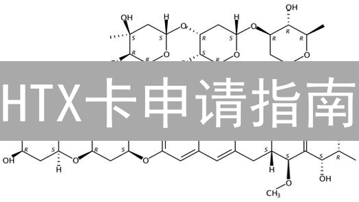 HTX卡申请指南：材料、时长与注意事项详解