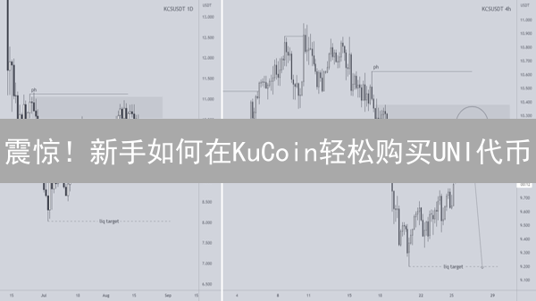 震惊！新手如何在KuCoin轻松购买UNI代币？一步到位教程！