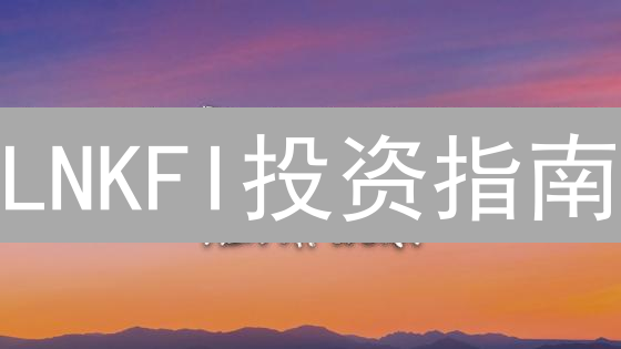 LNKFI投资指南：新手入门避坑指南，抓住机遇！