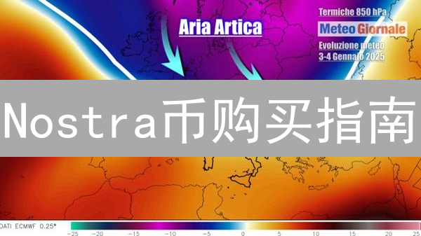 Nostra币购买指南：新手入门，避坑必读！