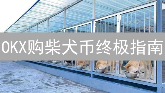 OKX购柴犬币终极指南：新手也能轻松上手【2024最新】